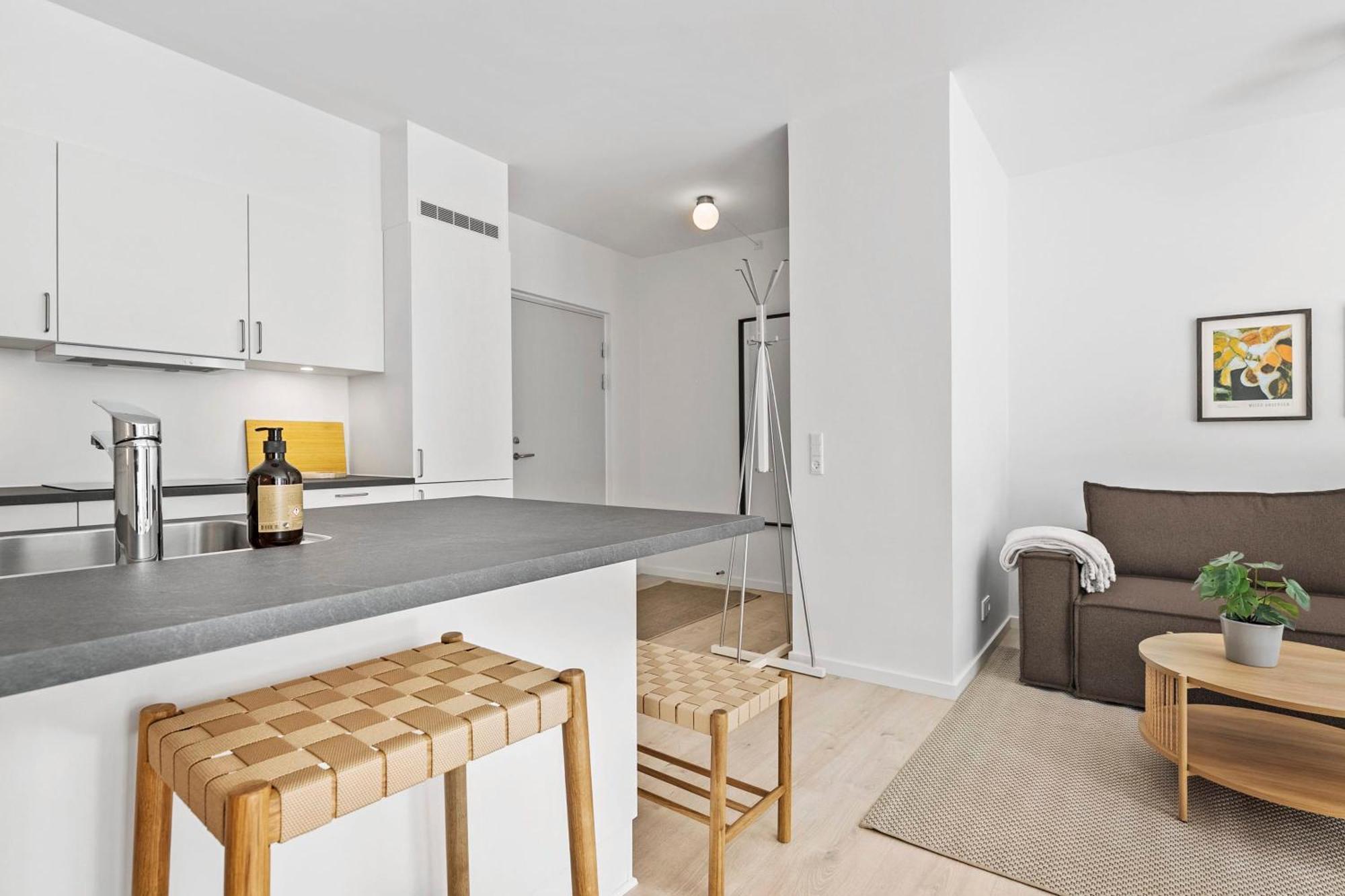 Inner City Grand Suite ออร์ฮูช ภายนอก รูปภาพ